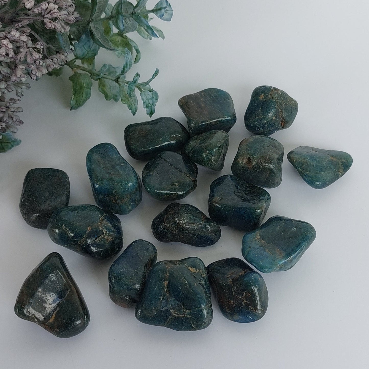 Blue Apatite - Tumbled