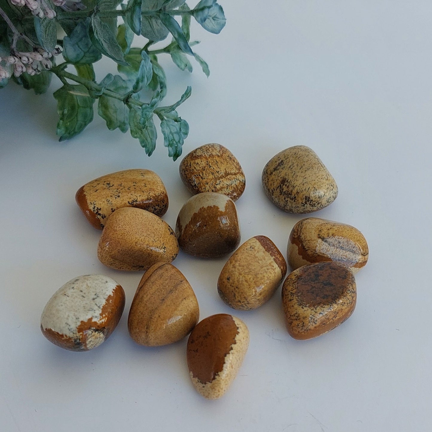 Picture Jasper - Tumble