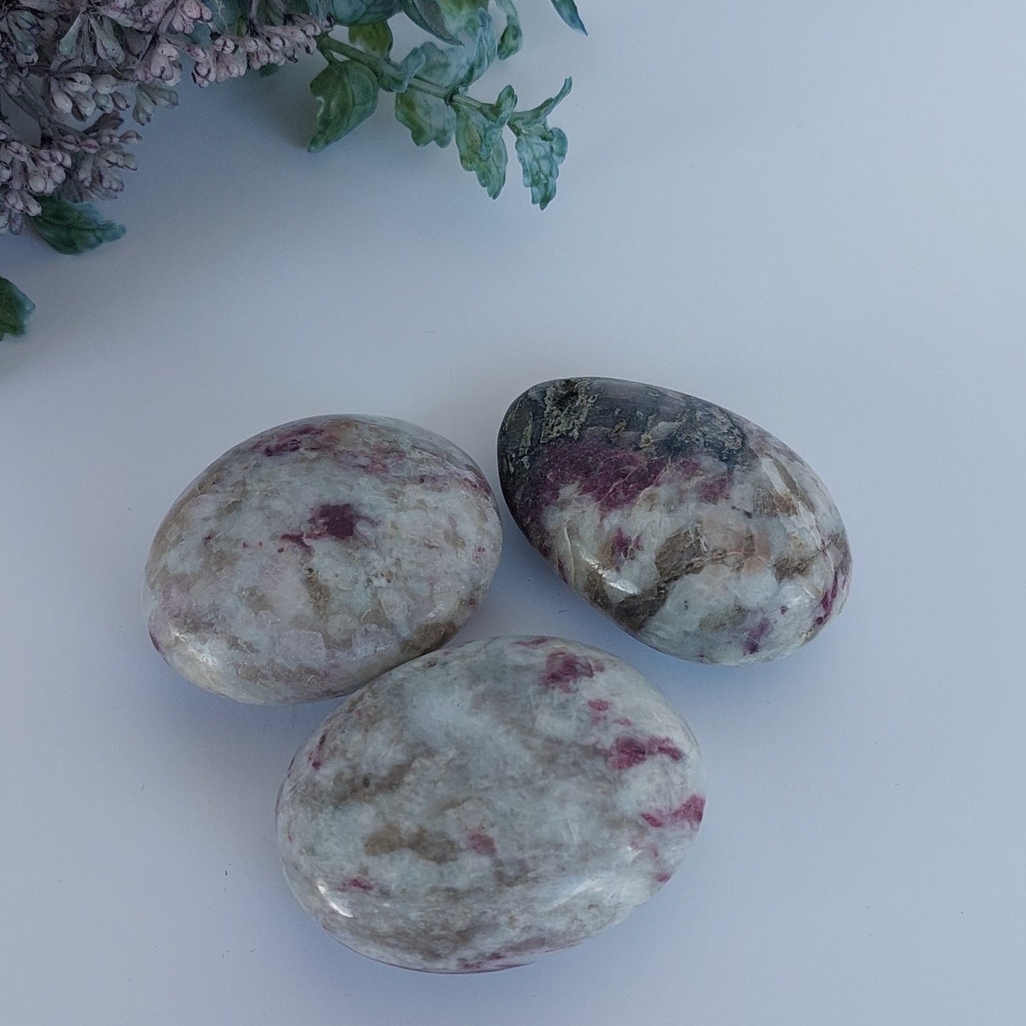 Rubellite Palm Stone