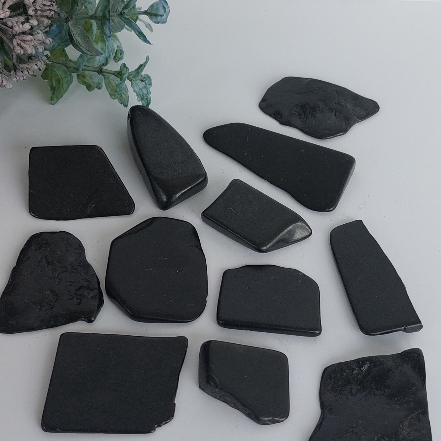 Shungite Slice