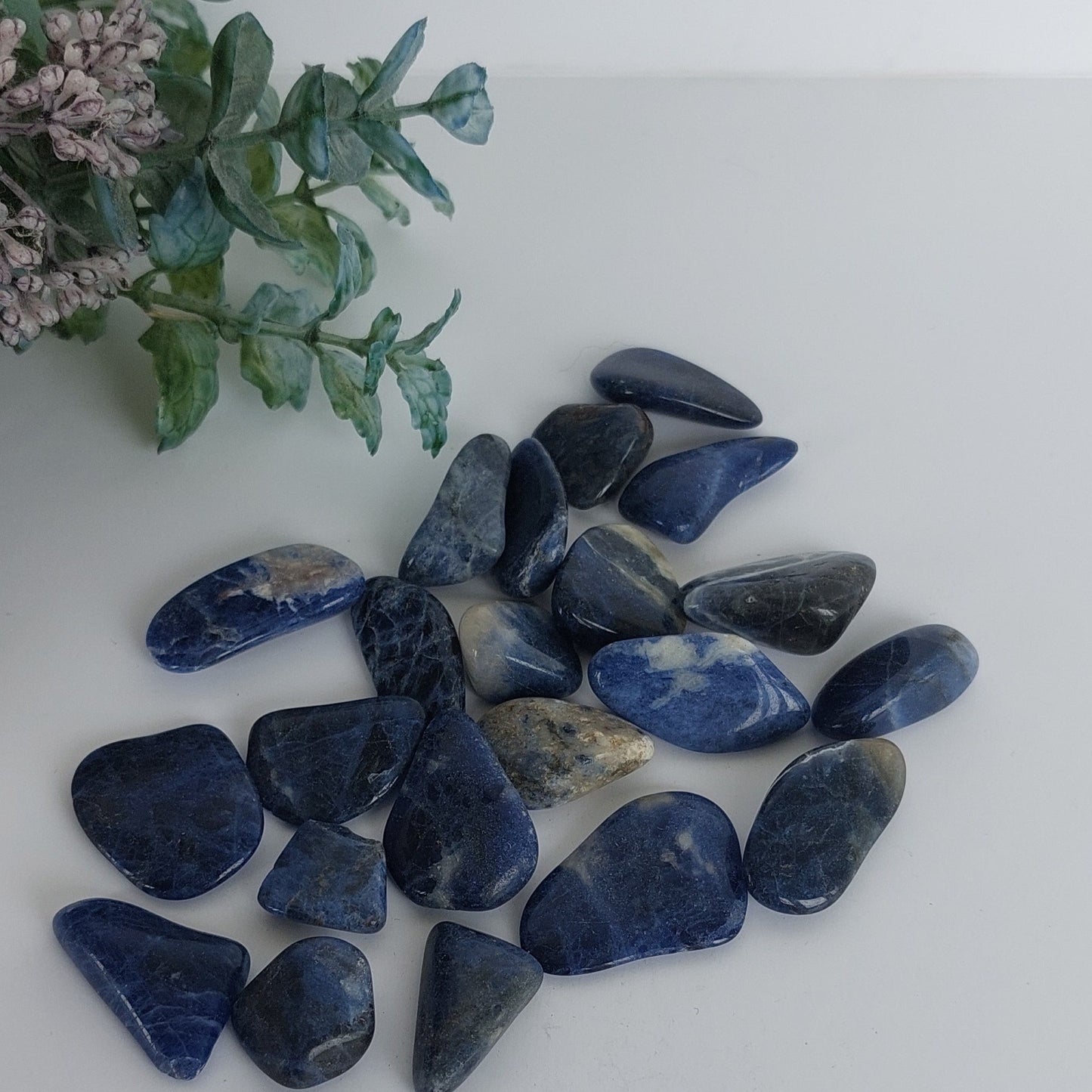 Sodalite - Tumbled
