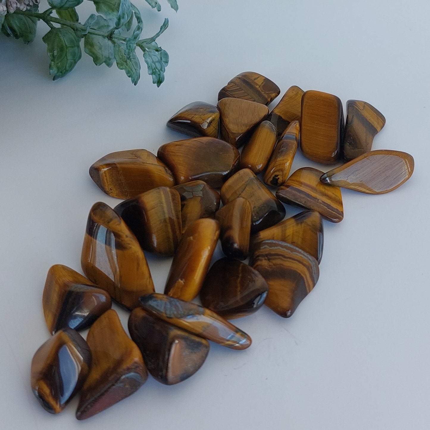 Tiger's Eye - Tumbled
