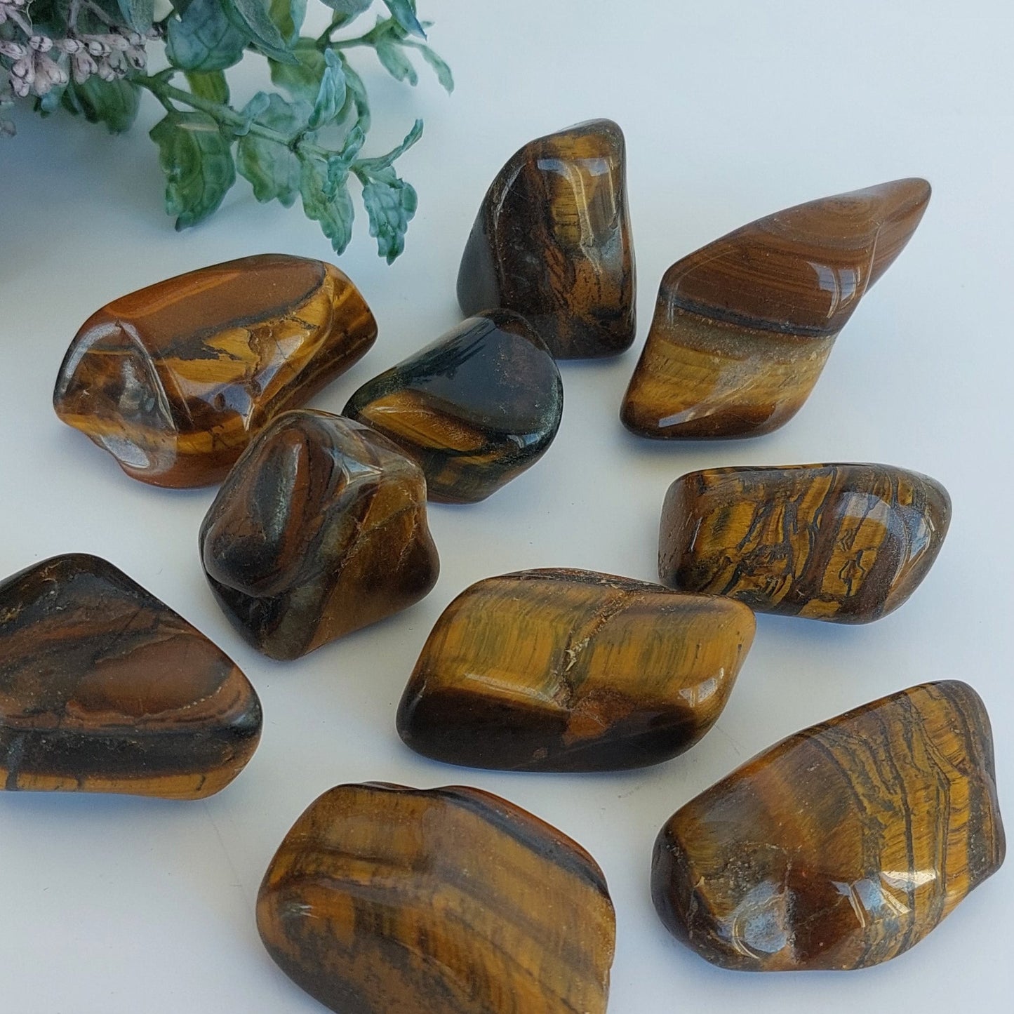 Tigers Eye - Tumbled - Large