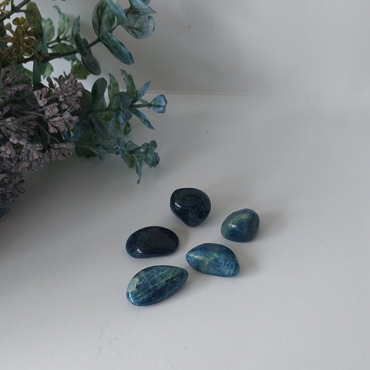 Blue Apatite - Tumble - Small