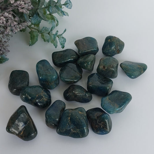Blue Apatite - Tumbled