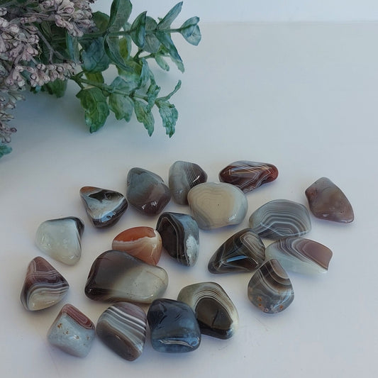Botswana Agate - Tumbled