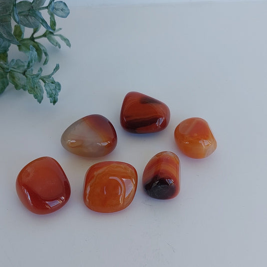 Carnelian - Tumbled