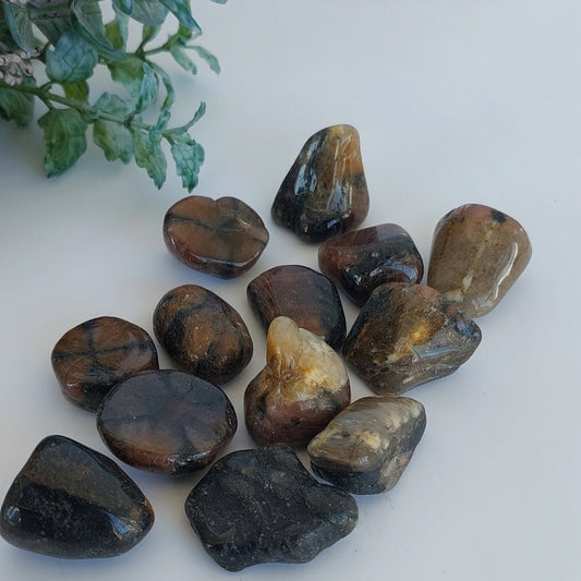 Chiastolite - Tumbled