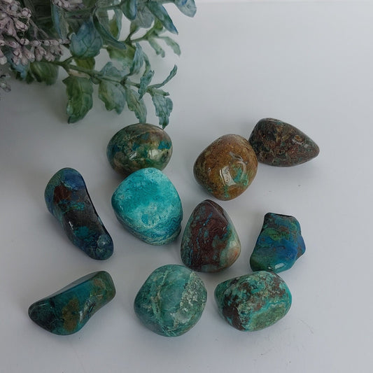 Chrysocolla - Tumbled - Medium