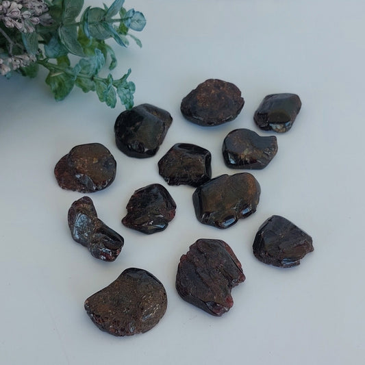 Garnet Slices