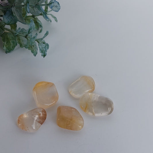 Golden Healer -  Tumbled