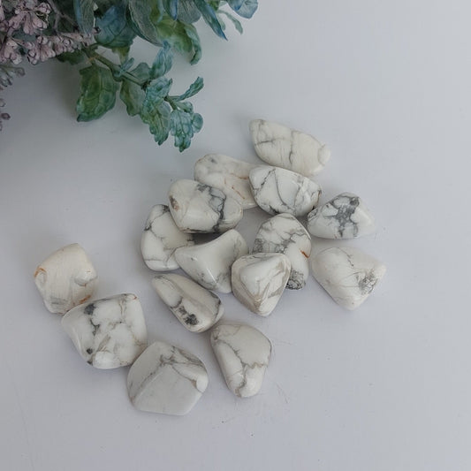 Howlite -  Tumbled