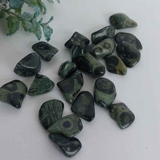 Kambaba Jasper - Tumbled