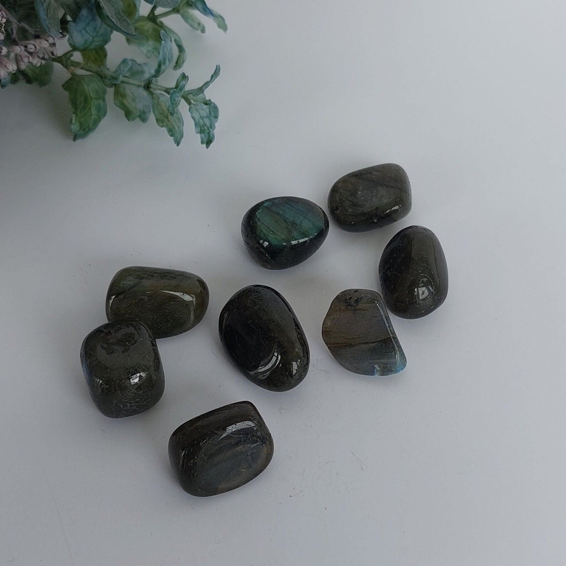 Labradorite - Tumble