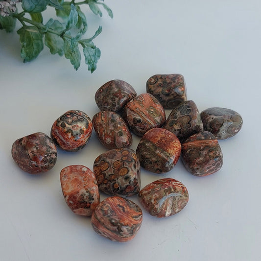 Leopard Skin Jasper - Tumble