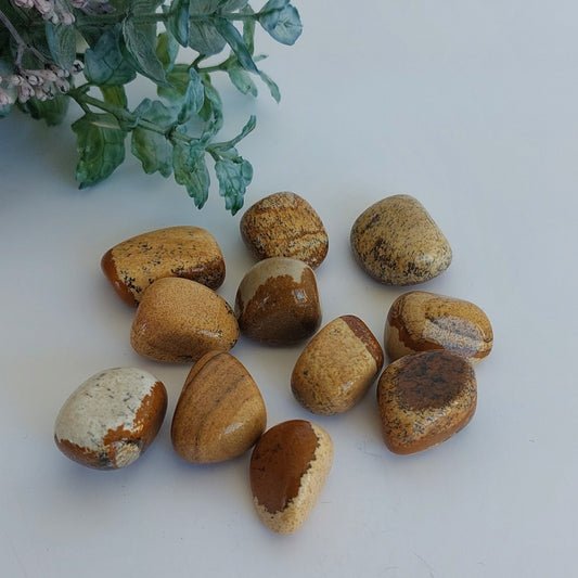 Picture Jasper - Tumble