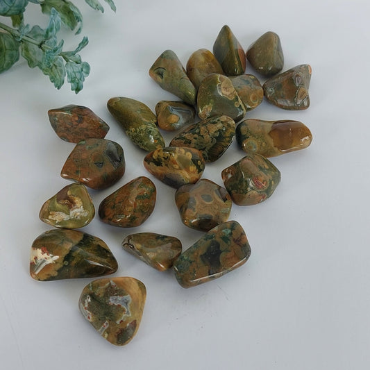 Rainforest Rhyolite - Tumbled