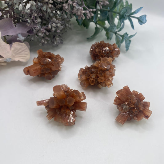 Red Aragonite Sputnik 