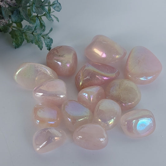 Rose Aura - Tumble