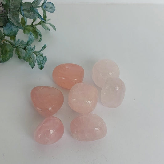 Rose Quartz - Tumble - Medium
