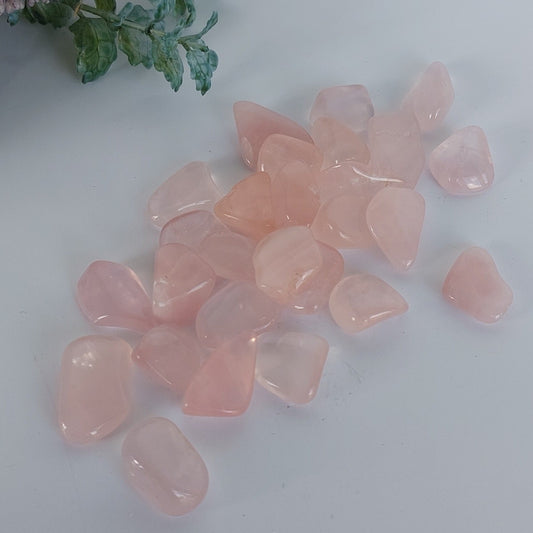 Rose Quartz - Tumbled