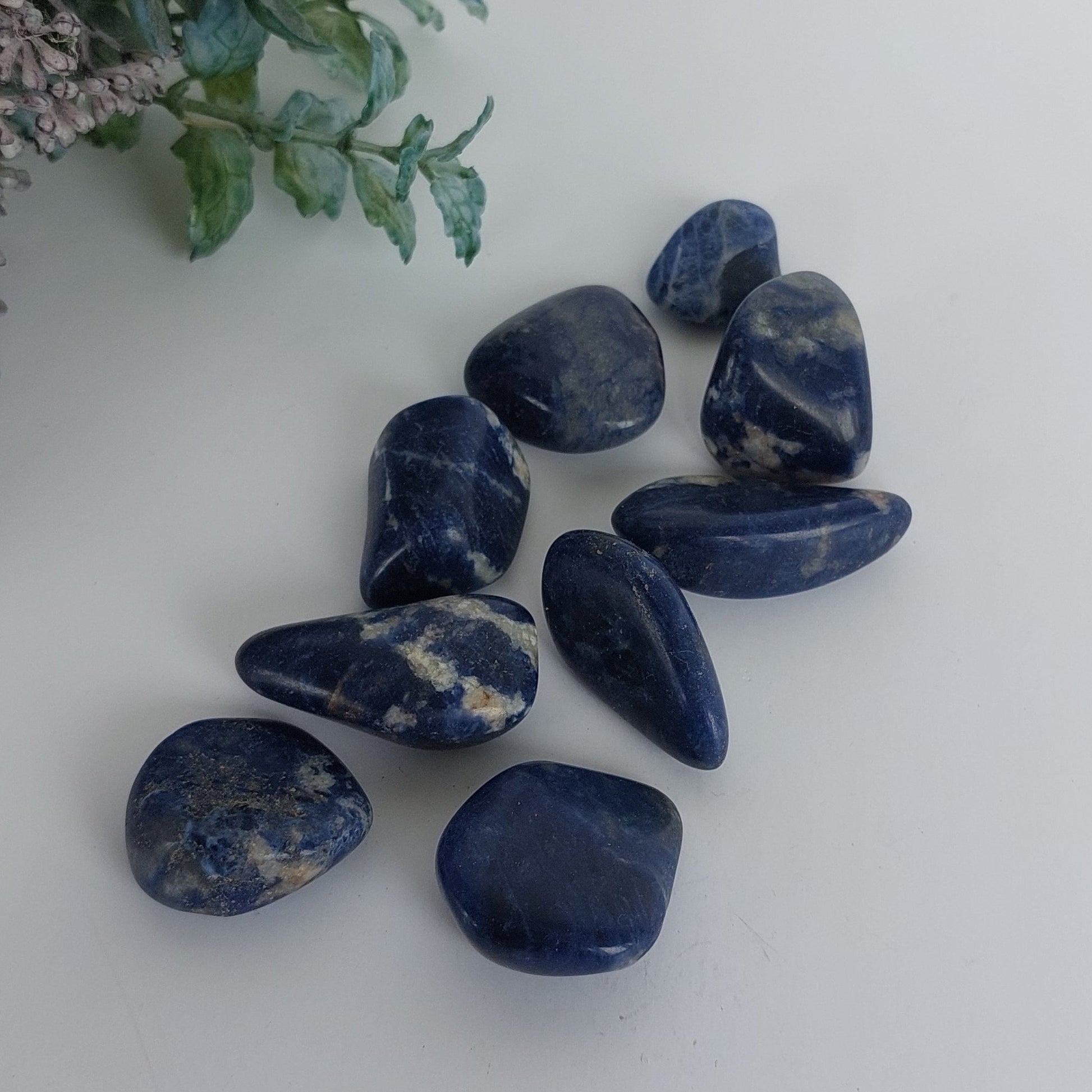 Sodalite - Tumble