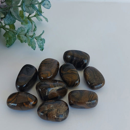 Stromatolite - Tumbled