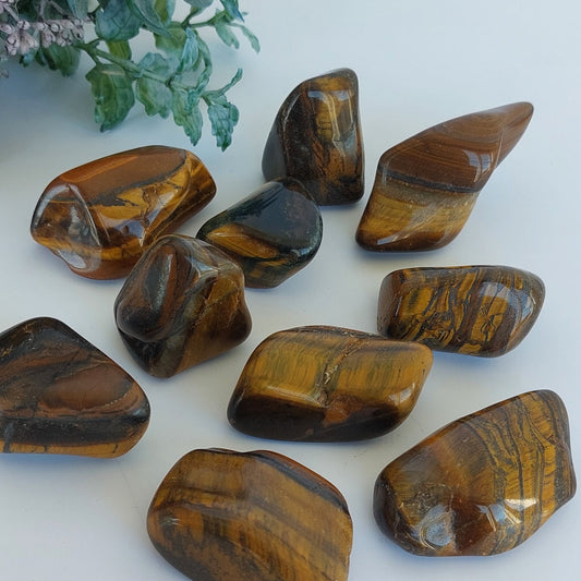 Tigers Eye - Tumbled - Large
