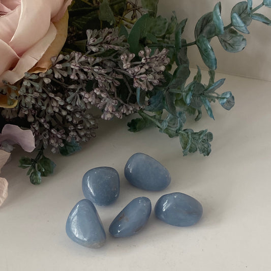 Angelite - Tumbles
