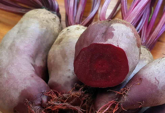 Beetroot- Heirloom Cyclindra Seeds