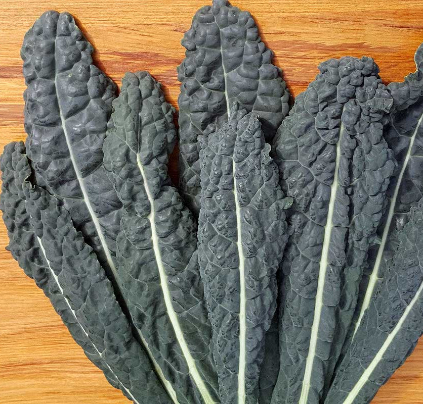 Kale - Heirloom Cavolo Nero Seeds